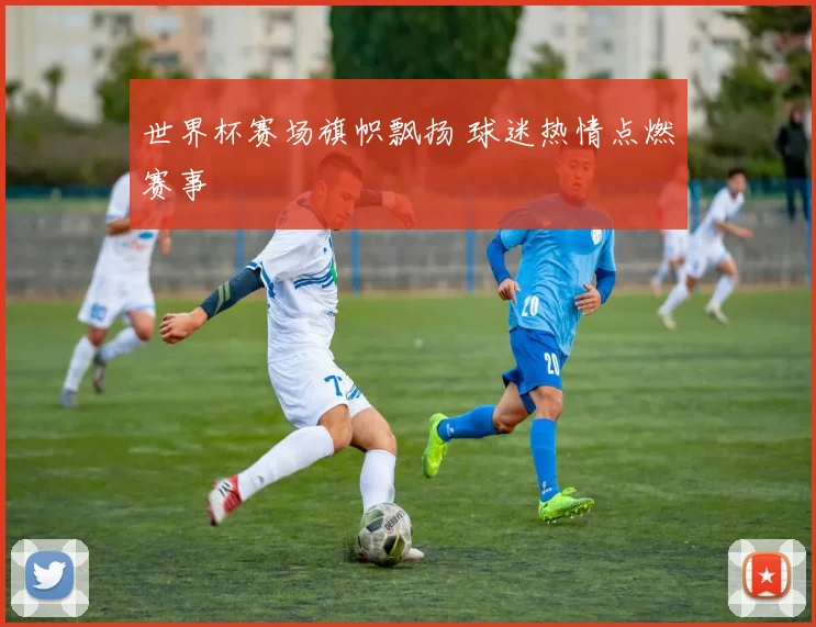 世界杯赛场旗帜飘扬 球迷热情点燃赛事