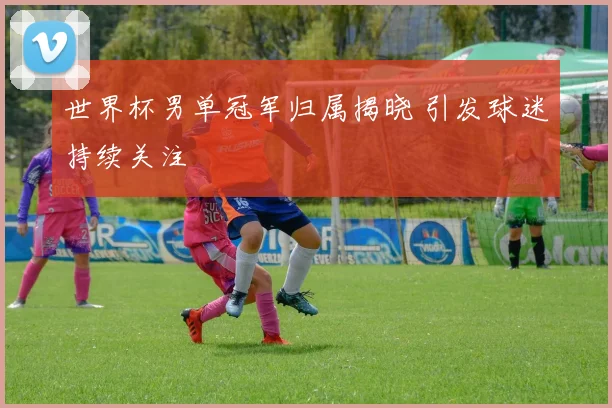 世界杯男单冠军归属揭晓 引发球迷持续关注