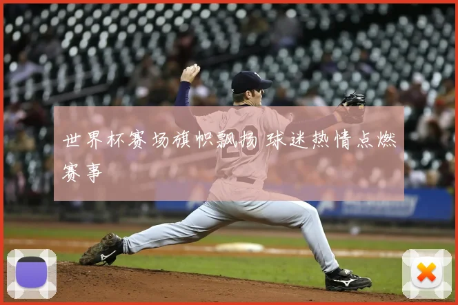 世界杯赛场旗帜飘扬 球迷热情点燃赛事