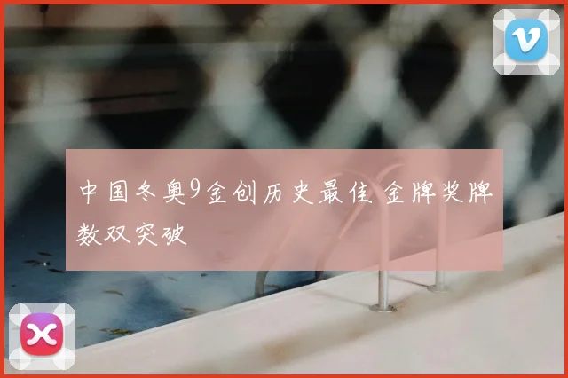 中国冬奥9金创历史最佳 金牌奖牌数双突破