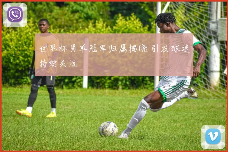 世界杯男单冠军归属揭晓 引发球迷持续关注