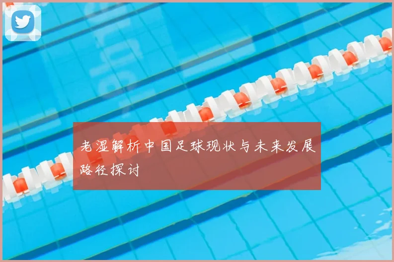 老湿解析中国足球现状与未来发展路径探讨