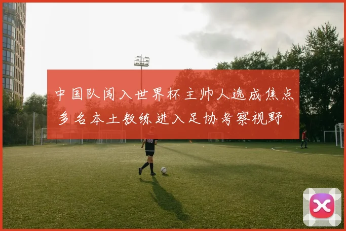 中国队闯入世界杯主帅人选成焦点 多名本土教练进入足协考察视野
