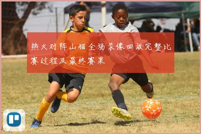 热火对阵山猫全场录像回放完整比赛过程及最终赛果