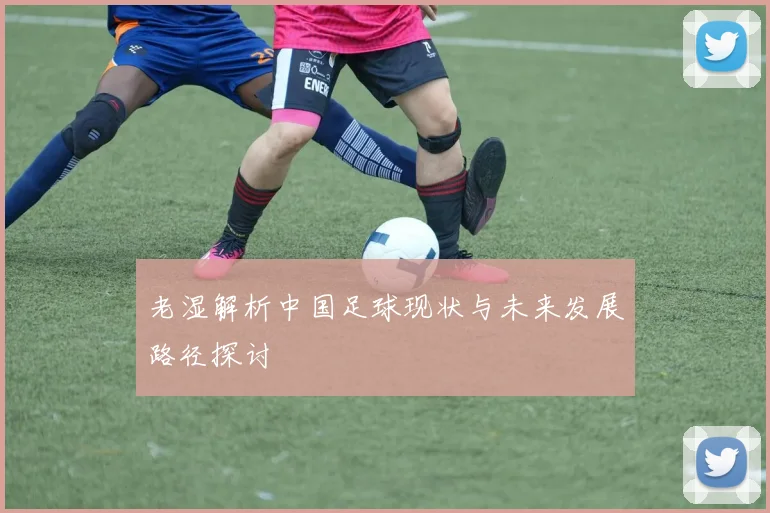 老湿解析中国足球现状与未来发展路径探讨