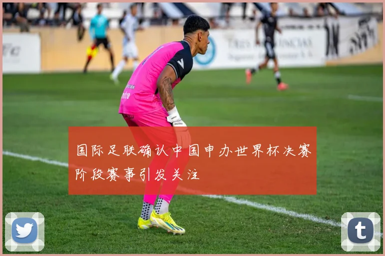 国际足联确认中国申办世界杯决赛阶段赛事引发关注