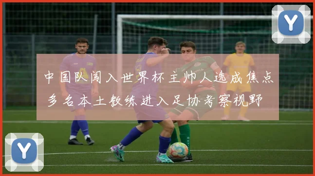 中国队闯入世界杯主帅人选成焦点 多名本土教练进入足协考察视野